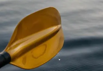 En las crisis, aprender a remar en aguas bravas