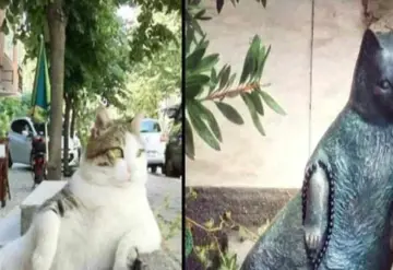 Gatita ´relajada´ es homenajeada con estatua en su lugar favorito