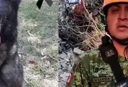 Nos volveremos a ver: entrenador se despide de Proteo, perro rescatista en Turqu&iacute;a