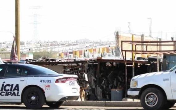 Capturan a "Cachito" un león africano de 9 meses en Aguascalientes