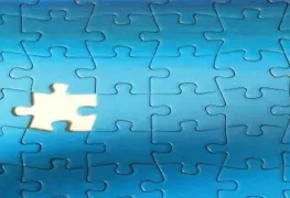 Pellicer y Vasconcelos, políticos de una pieza