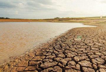 Uruguay enfrenta fuerte sequía que afecta cultivos y suministro de agua