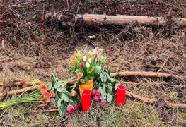 Amigas matan a puñaladas a niña de 12 años en Alemania