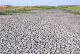 México se suma a iniciativa para recuperar 300 mil km de ríos y lagos