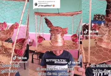 ¡Le damos el primer lugar! Niño sorprende con sombrero loco de gallinero | VIDEO