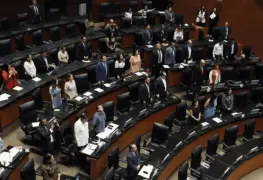 Paga Senado 775 mil pesos en cursos de inglés para sus trabajadores