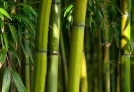 Apuntes de domingo: ¿Y?