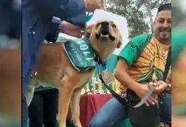 El Chicles el perrito que gano un maratón de 5 kilómetros, se viralizó en TikTok