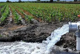 Urge tecnificar el campo contra sequ&iacute;as