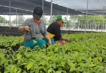 Mujeres ganan terreno en el campo