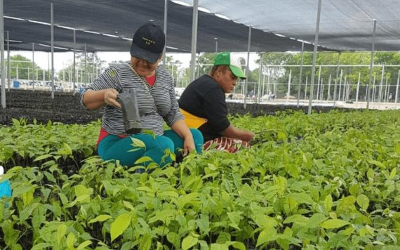 Mujeres ganan terreno en el campo