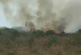 Inconscientes provocan el 99% de los incendios