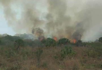 Inconscientes provocan el 99% de los incendios