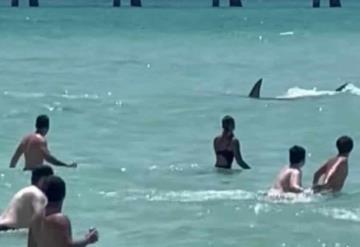 Video: Tiburón aterroriza a vacacionistas en una playa de Florida