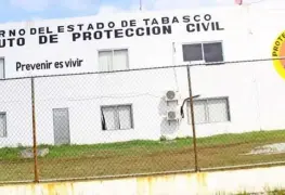 Atendió Protección Civil árboles caídos por fuertes vientos