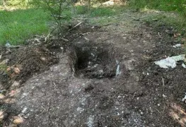 Hallan fosa clandestina con un cuerpo en Paraíso