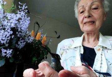 Mujer de 72 años creó un hospital de colibríes en su propia casa