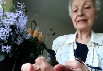 Mujer de 72 años creó un hospital de colibríes en su propia casa