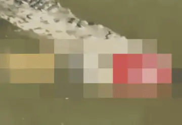 Identifican el cuerpo humano que tenía un cocodrilo en su boca