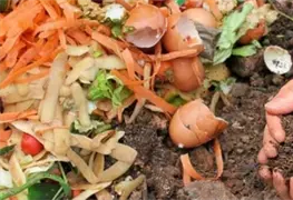 Una tendencia con gran potencial: el reciclaje de alimentos