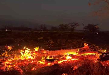 Incrementa cifra de muertos en Hawái a causa de los incendios forestales