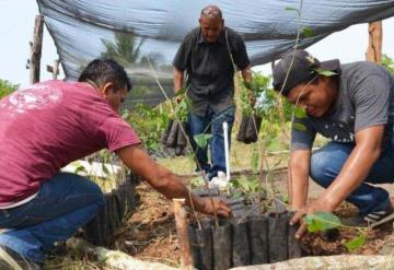 40% de tabasqueños viven en zonas rurales y ayudan a la sustentabilidad