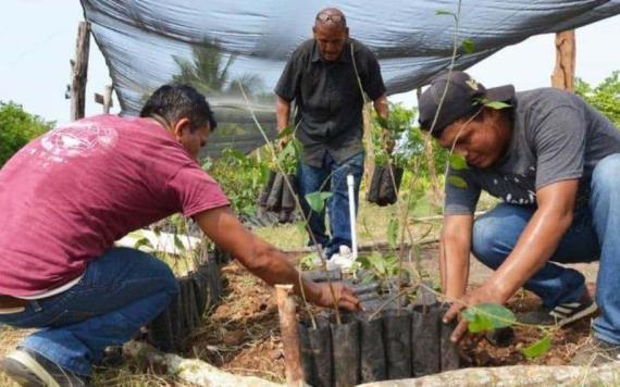 40% de tabasqueños viven en zonas rurales y ayudan a la sustentabilidad