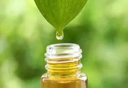 Aceites esenciales contra bacterias resistentes