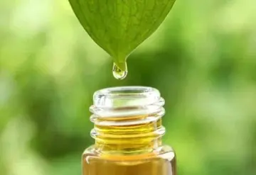 Aceites esenciales contra bacterias resistentes