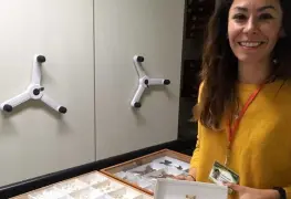 UNAM elige a la presidenta de la Sociedad Americana de Lepidopterólogos