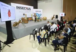 Esterilización de insectos, una vía orgánica para luchar contra las plagas