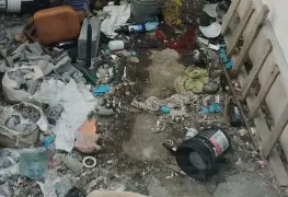 Denuncian a sujeto por mantener a perritos entre heces y basura