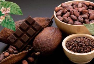 2 de septiembre: Día Nacional del cacao y el chocolate