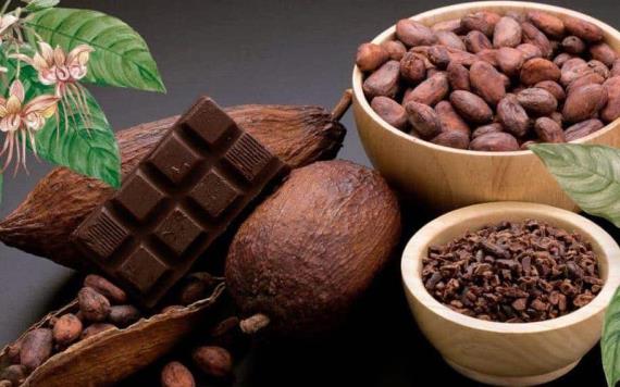 2 de septiembre: Día Nacional del cacao y el chocolate