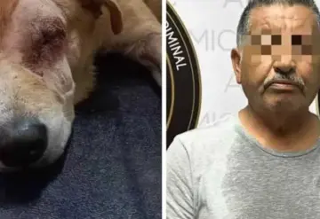 Hombre le saca los ojos a un perro; es detenido