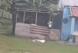 Mujer fue apuñalada en el corazón