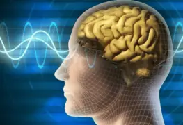 El descanso es necesario para el cerebro