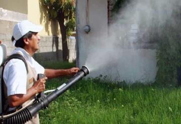 Van 8 muertes por dengue en Tabasco