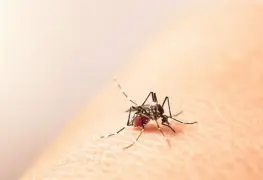 OBSERVATORIO DE DATOS