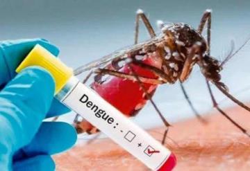 Dengue alcanza punto máximo en Yucatán