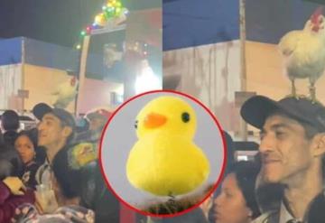 Hombre sorprende con gallina en la cabeza tras furor por patitos kawaii