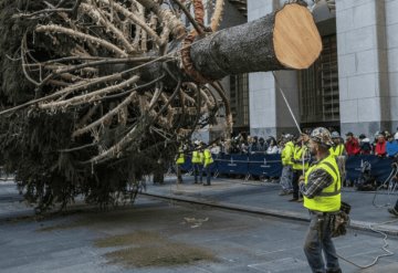 Gran árbol de Navidad del Rockefeller Center llega a Manhattan