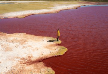 El río Nilo se pinta de rojo como lo narró la Biblia