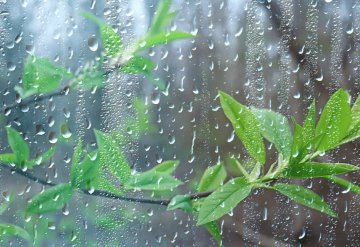 Lluvias torrenciales en Veracruz, Chiapas y Tabasco en las próximas horas