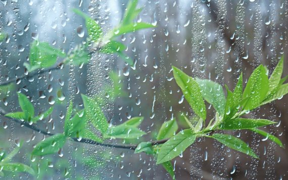 Lluvias torrenciales en Veracruz, Chiapas y Tabasco en las próximas horas