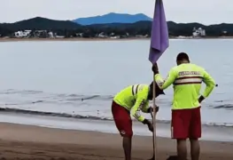Establecen bandera morada en playas de Jalisco, por presunto ataque de tiburón