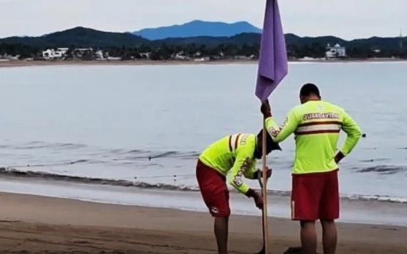 Establecen bandera morada en playas de Jalisco, por presunto ataque de tiburón