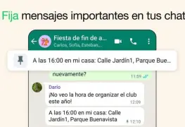 WhatsApp anuncia nueva función: poder fijar un mensaje en un chat