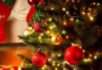 Significado de Árbol de Navidad