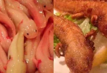 Indigna restaurante de comida exótica en Japón que sirve ajolotes fritos como parte de su menú